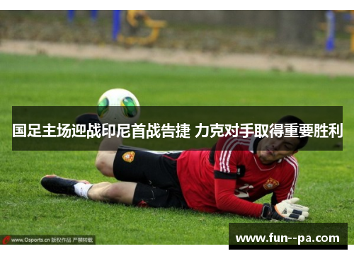 国足主场迎战印尼首战告捷 力克对手取得重要胜利